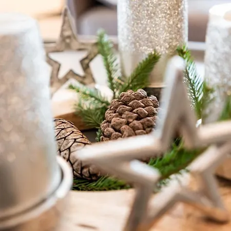 Alpendomizil Ahorn Apartament Mayrhofen