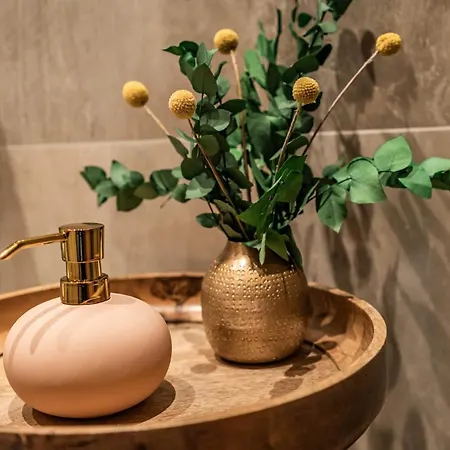 Apartament Alpendomizil Ahorn Mayrhofen