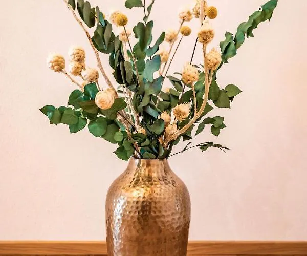 Alpendomizil Ahorn Mayrhofen