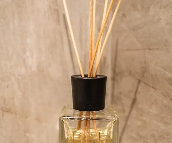 Appartement Alpendomizil Ahorn Mayrhofen