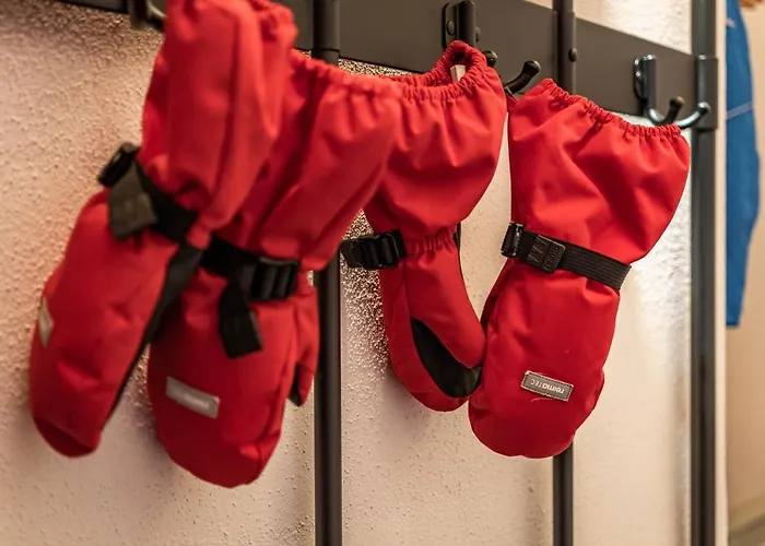 Alpendomizil Ahorn *