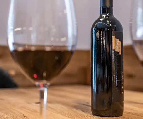 Alpendomizil Ahorn *