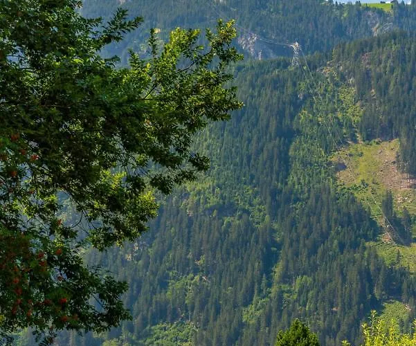 Daire Alpendomizil Ahorn Mayrhofen