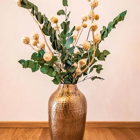 Alpendomizil Ahorn Mayrhofen