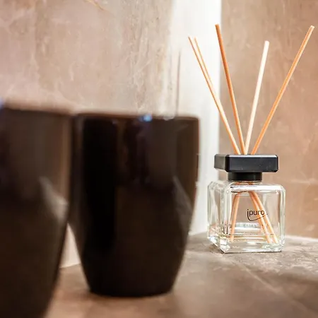 Alpendomizil Ahorn Lejlighed Mayrhofen